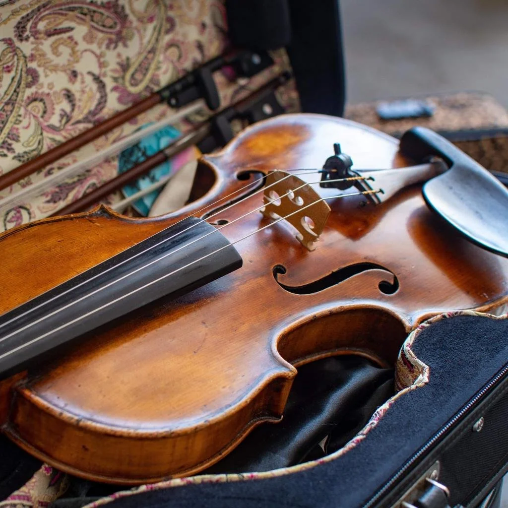 Embassy String Quartet in performance
